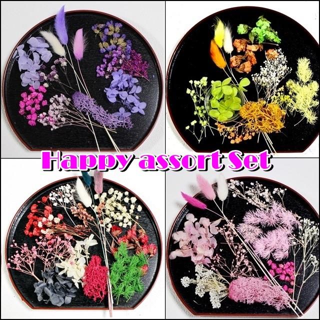 ハッピーお楽しみ アソート セット 風水 金運 幸運 ブーケ ドライ プリザーブド フラワー テラリウム レジン ハーバリウム アロマワックス 523 ぽちの家 通販 Yahoo ショッピング