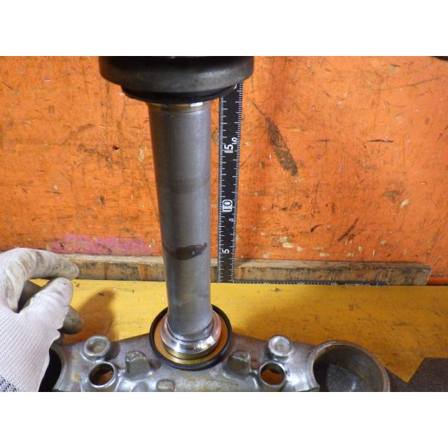 もも茶 伊藤園】TEAS TEA 蜜桃紅茶535mlx24入/箱(TQF微笑標章) - momo