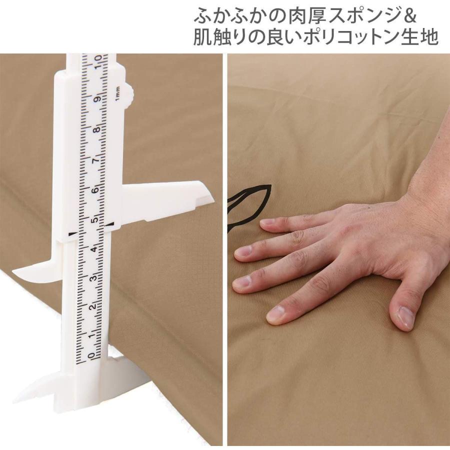 DOD(ディーオーディー) ソトネノサソイL 丸洗いシーツ付き 厚み4.5cmエアマット カマボコテントにフィット CM3-622-TN ディーオーディー 約 DOD ソトネノサソイL 丸洗いシーツ付き 厚み4 5cmエアマット カマボコテントにフィット CM3 TN サイズ