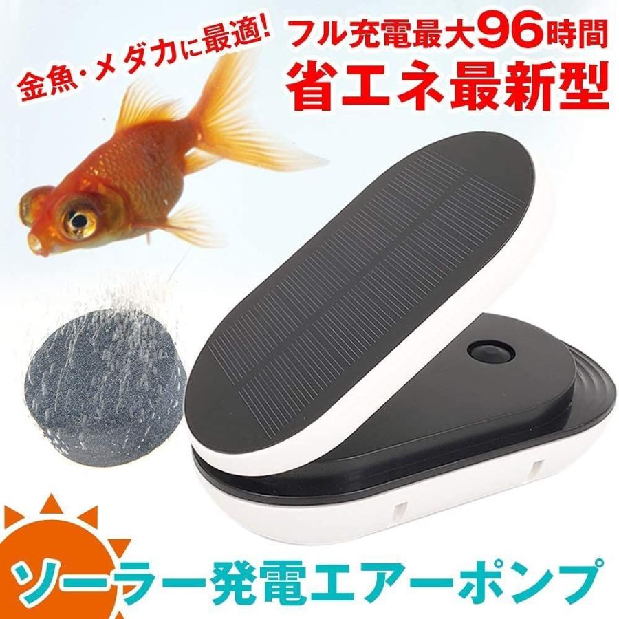 信頼 日本語説明書付き ソーラー充電式 エアポンプ 水槽 エアーポンプ ソーラー エアー ポンプ メダカ ぶくぶく 金魚鉢 アクアリウム 全日本送料無料 Turningheadskennel Com