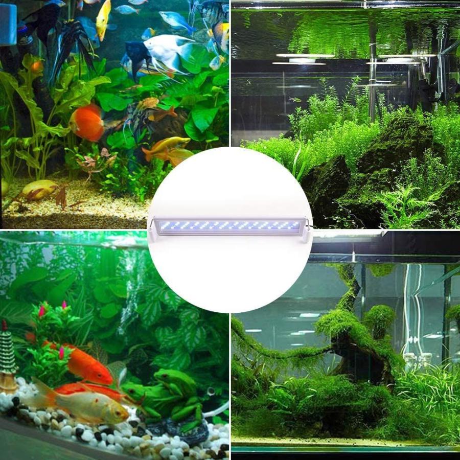 水槽ライト38cm Hopopower 水槽ledライト 水槽照明 アクアリウムライト 10w 38 50cm水槽対応 2色led 56個ビ ぽちょん堂 通販 Yahoo ショッピング