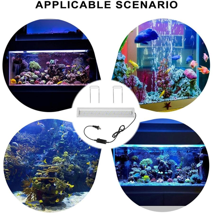 一番の Vorcool 水槽ライト アクアリウムライト 40 50cm水槽対応 白 青 56led 調節可能 水槽照明 観賞魚飼育 水草育成用 長寿 Shipsctc Org