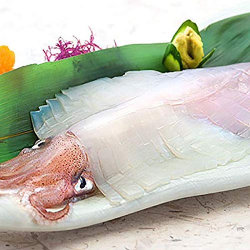 安い買取 価格 イカ 刺身用 2杯入り 呼子イカ 姿造りいか 玄界灘産 販売半額 Pesticon Sg