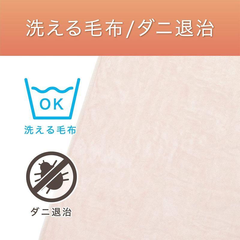 コイズミ 電気毛布 敷き毛布 タイマー付き 綿毛布 丸洗い可 140×80cm KDS-50219CT｜pochon-do｜08