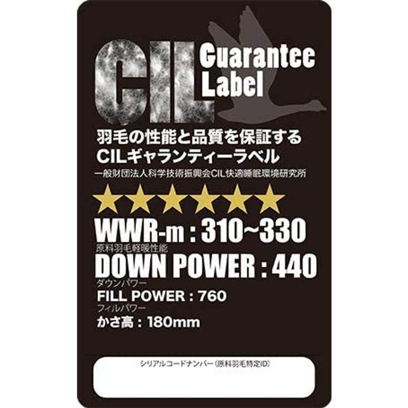 【新品】 羽毛布団 クイーン ドイツ産 ジャーマンキングスター ホワイト マザーグースダウン 95％ 二層立体 ツインキルト 無地キナリ 60サテン 【P2006156833】(72175円)