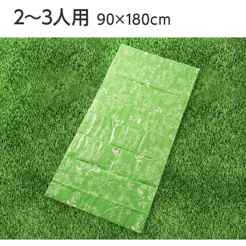 アサヒ興洋 HideSeek レジャーシート(L) グリーン 約90×180cm :20220210124732-00100:ぽちょん堂 - 通販  - Yahoo!ショッピング