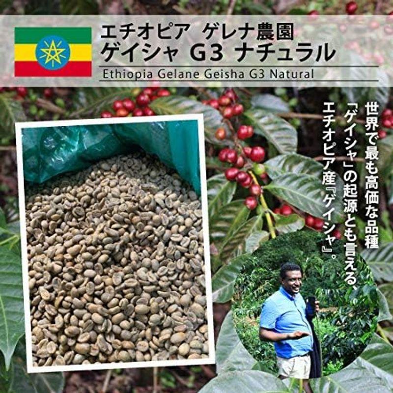 箱詰め松屋珈琲 コーヒー生豆 エチオピア ゲレナ農園 ゲイシャG3 ナチュラル (10kg箱)