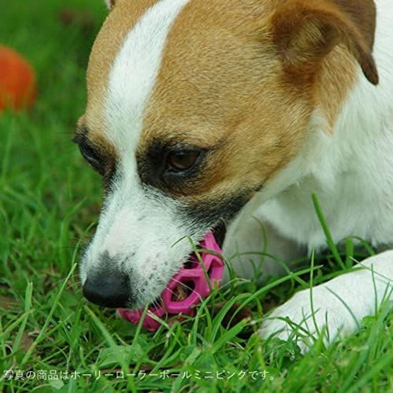 JW Pet(JWペット) 犬用おもちゃ 中型犬 ホーリーローラーボール Sサイズ オレンジ｜pochon-do｜15