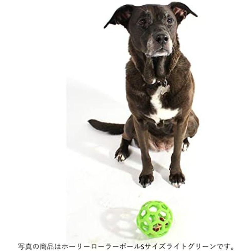 JW Pet(JWペット) 犬用おもちゃ 中型犬 ホーリーローラーボール Sサイズ オレンジ｜pochon-do｜19