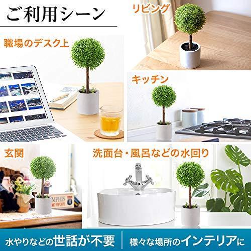 観葉植物 フェイク 光触媒 消臭 トピアリー フェイクグリーン インテリア 人工観葉植物 卓上 A B072x9hmnn ぽちょん堂 通販 Yahoo ショッピング