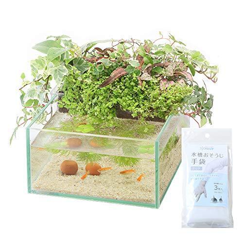 アクアテリア N190 メダカ用 ガラス水槽と水耕栽培プランター 水槽おそうじ手袋セット A B07gjhd387 ぽちょん堂 通販 Yahoo ショッピング