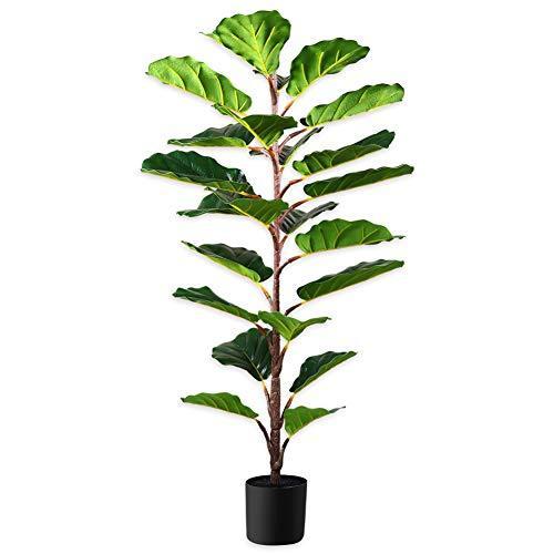 Fopamtri 観葉植物 フェイクグリーン 人工観葉植物 造花 カシワバゴムノキ 1センチ 簡単世話いらず 水やり不要 A B08dtq4qk7 ぽちょん堂 通販 Yahoo ショッピング
