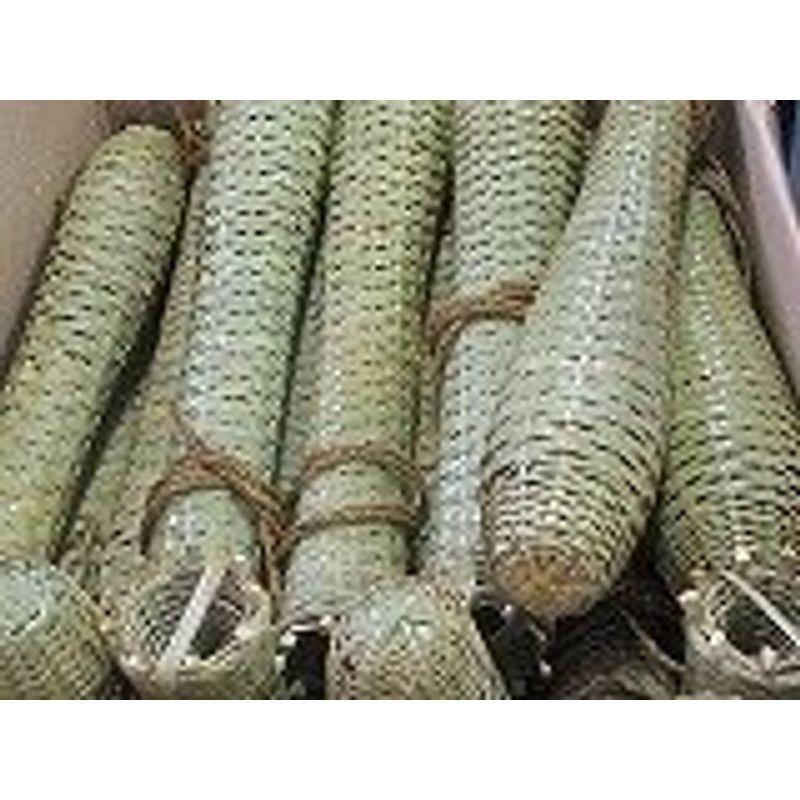 うなぎ，もんどり大40cm、竹製10本セット、備長炭500g付 【公式通販】