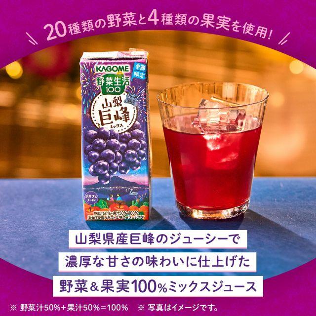 野菜生活100 【送料無料】カゴメ 山梨巨峰ミックス 195ml紙パック 48本