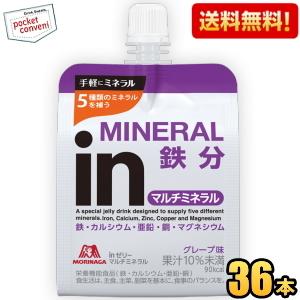 送料無料 森永 ウイダーｉｎゼリー マルチミネラルイン 鉄分 180g 36個入 (スポーツドリンク ウイダーインゼリー ウイダーインゼリー) の商品画像