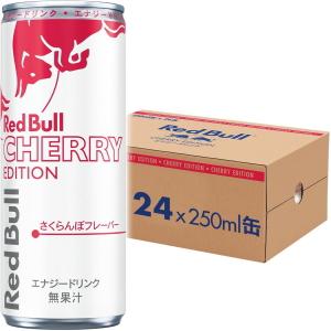 レッドブル（RedBull） 送料無料 エナジードリンク 250ml缶 48本(24本