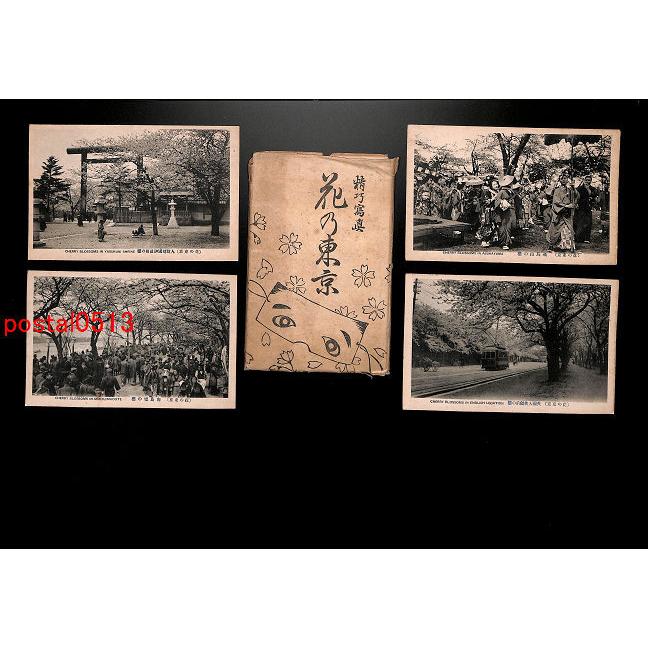 高評価なギフト 東京 Fsa0522 花の東京 傷み有り アンティーク絵葉書 赤坂見附