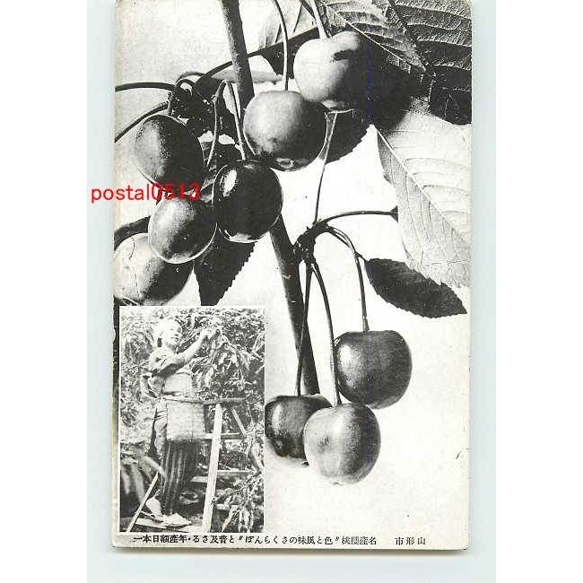 Xc3470 山形 さくらんぼ アンティーク絵葉書 Xc3470 ポケットブックス 通販 Yahoo ショッピング