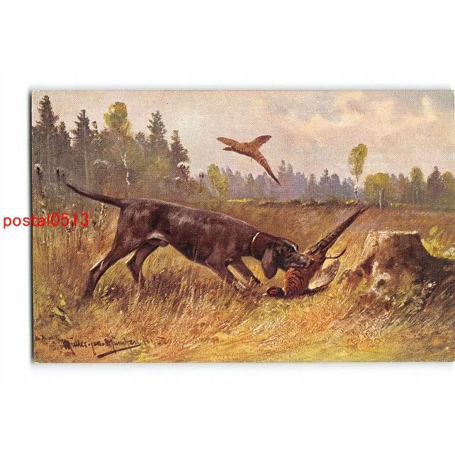 Xyc0579 狩猟アート 狩猟犬 傷み有り アンティーク絵葉書 Xyc0579 ポケットブックス 通販 Yahoo ショッピング