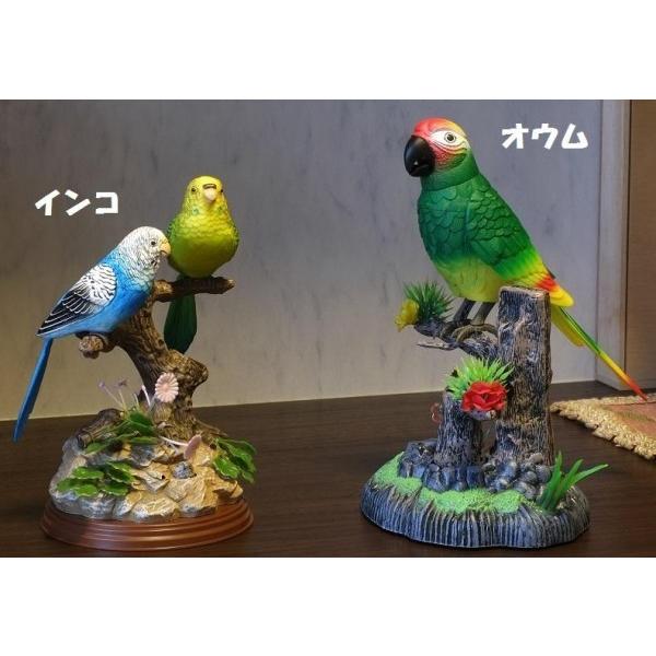 動くおもちゃ 鳥の置き物 鳥のおもちゃ セキセイインコ 小鳥のおもちゃ Pocket Company 通販 Yahoo ショッピング