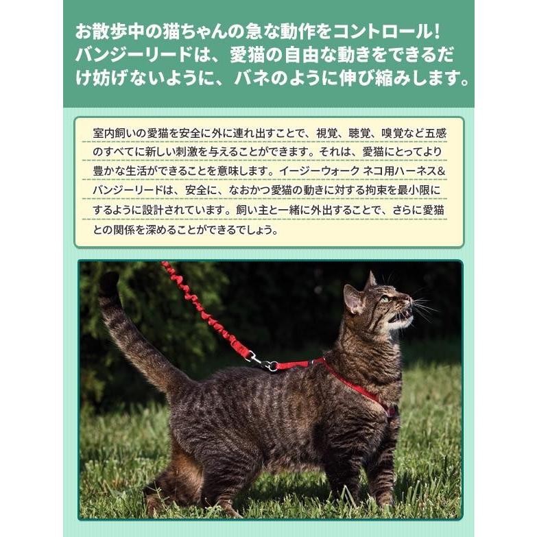 猫 ハーネス リード セット 猫 散歩 リード ハーネス 猫用ハーネス 猫用胴輪 Pocket Company 通販 Yahoo ショッピング