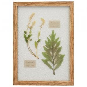 植物標本 ハーバリウム ギフト 壁掛け 植物 インテリア 写真プリント Pocket Company 通販 Yahoo ショッピング