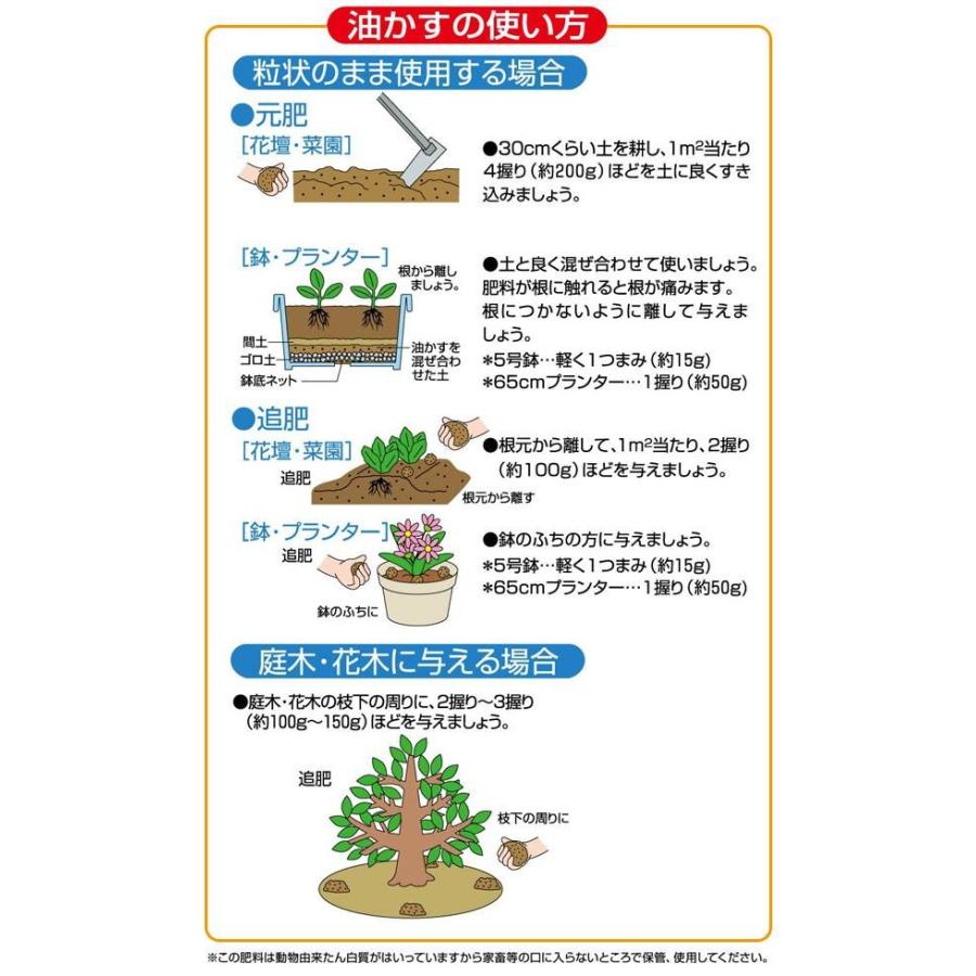 油かす 肥料 油粕肥料 油粕肥料の使い方 庭木 骨粉入り油粕の使い方 8kg Pocket Company 通販 Yahoo ショッピング