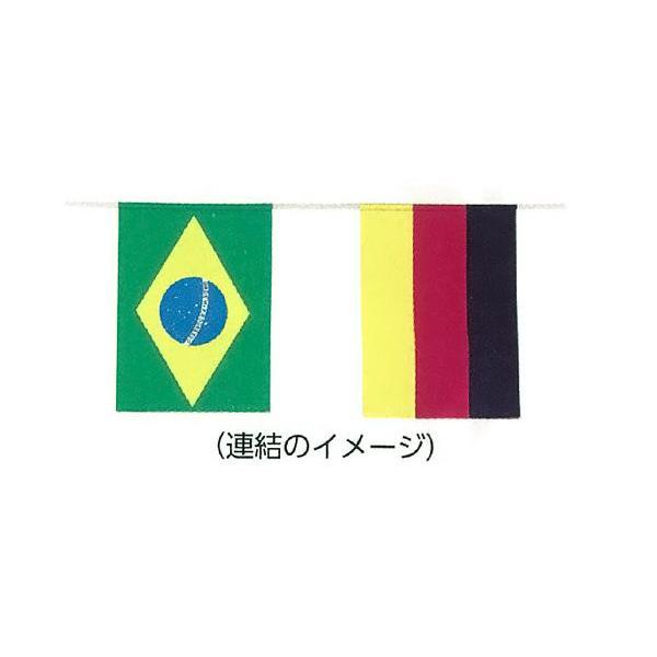 万国旗 連結式 20ヶ国セット 旗サイズ35×45cm 全長15.5m 運動会_1