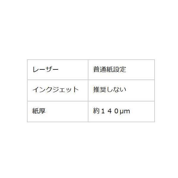 和紙のイシカワ　カラリスト　A3判　10枚入　10袋　COL-1600-10P