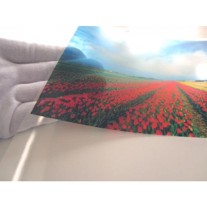 インクジェットフィルム スーパークリアフィルム 1118mm×20m 透明 薄手 PET_2