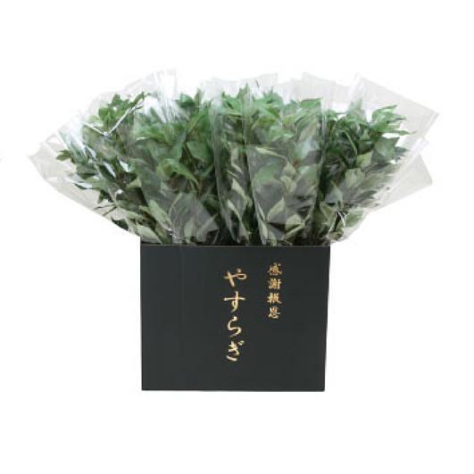 ニューホンコン造花 シキミ ラップ入 展示箱付 グリーン30本入 142501