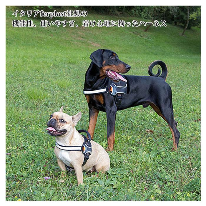 犬用ハーネス おしゃれ　犬用ハーネス小型犬　ハーネス　犬　小型犬 ハーネス　XS_2