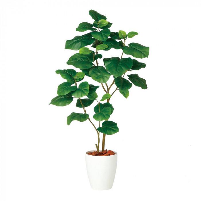 即納最大半額 東北花材 Toka 人工樹木 ウンベラータ2本立 Fst 9 Pocket Company 通販 Yahoo ショッピング 日本製 Jeannesauve Org