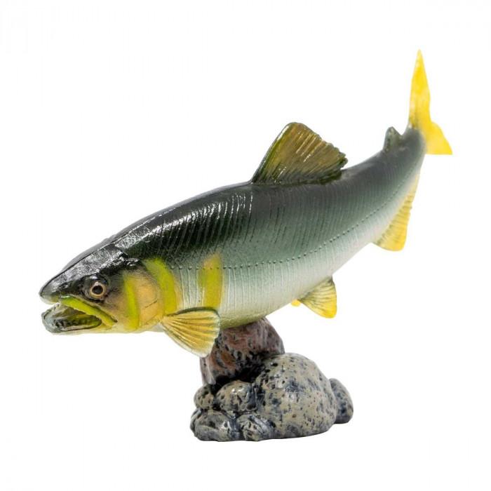 魚 おもちゃ リアル 魚の模型 魚 フィギュア リアル 魚フィギュア アユ Pocket Company 通販 Yahoo ショッピング
