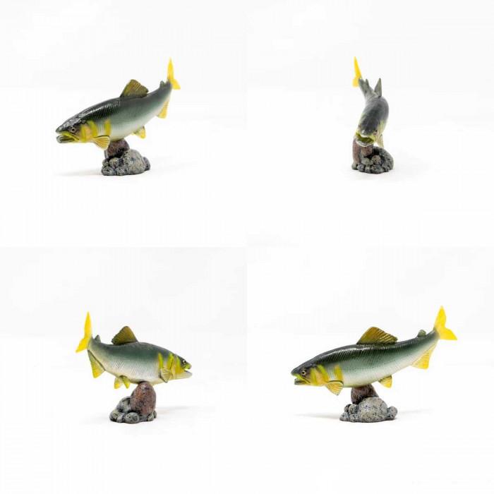 魚 おもちゃ リアル 魚の模型 魚 フィギュア リアル 魚フィギュア アユ Pocket Company 通販 Yahoo ショッピング