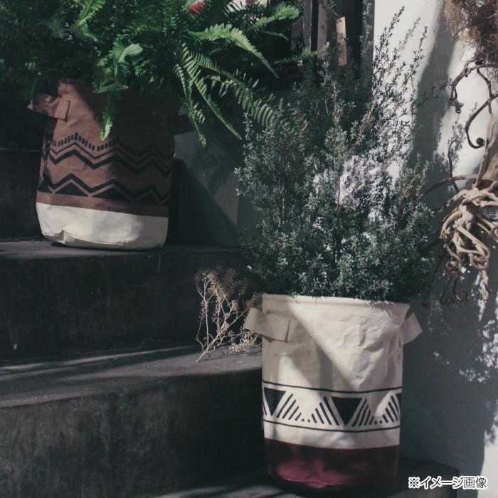 観葉植物 カゴ 鉢カバー ポットカバー 鉢カバー おしゃれ 室内 L Pocket Company 通販 Yahoo ショッピング