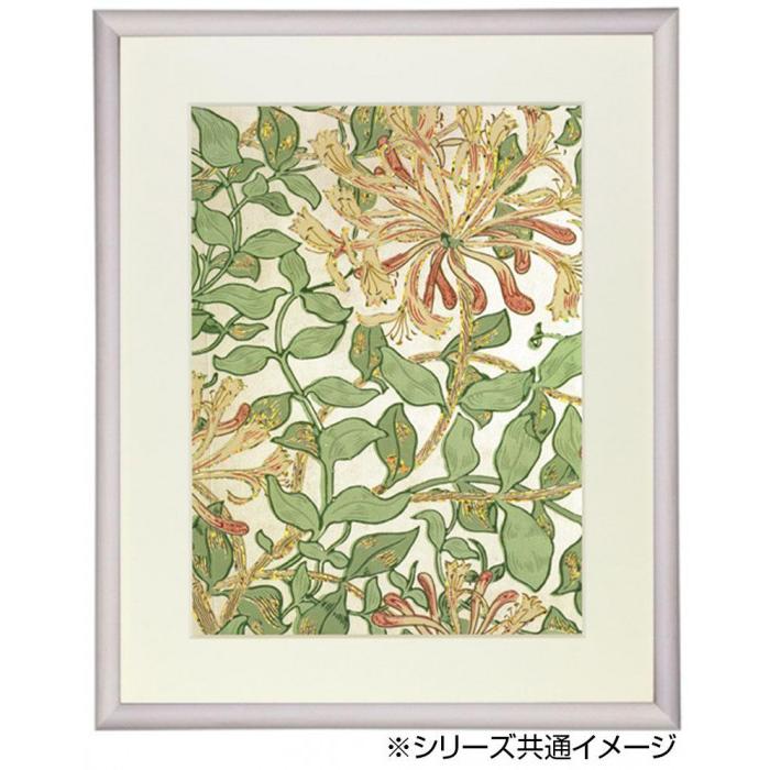 デッサン額　木製フレーム　正方　桜カマボコ　乳白　45角450×450　アクリル 【素描】