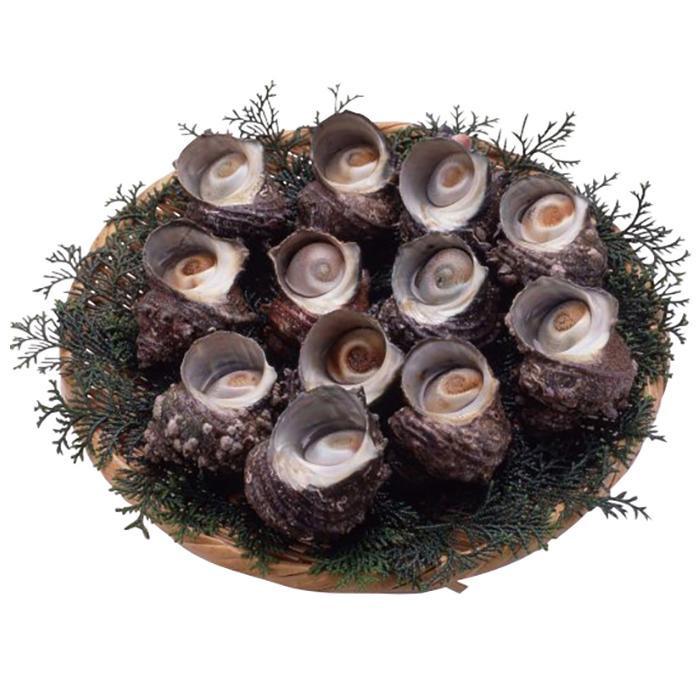 Yahoo ショッピング Paypayポイントがもらえる ネット通販