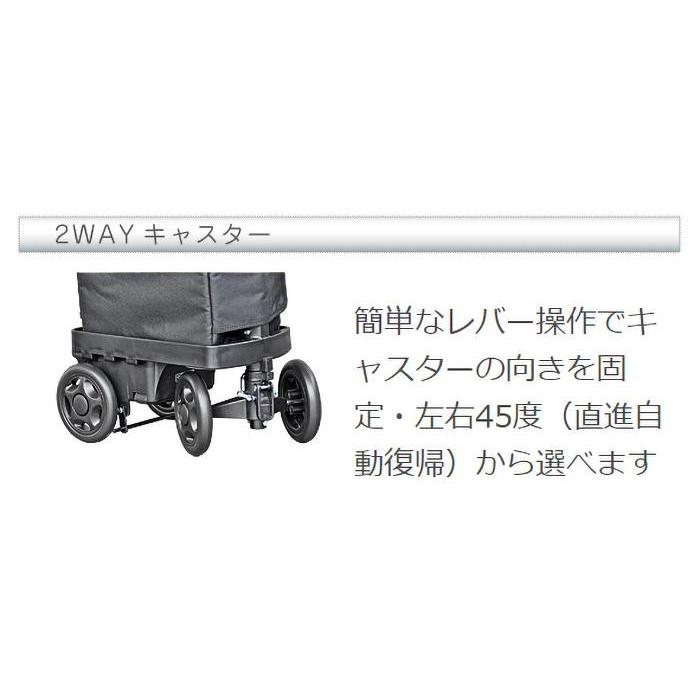 アイカート ボンベ No.855 酸素ボンベカー 3Lと2Lボンベが入る