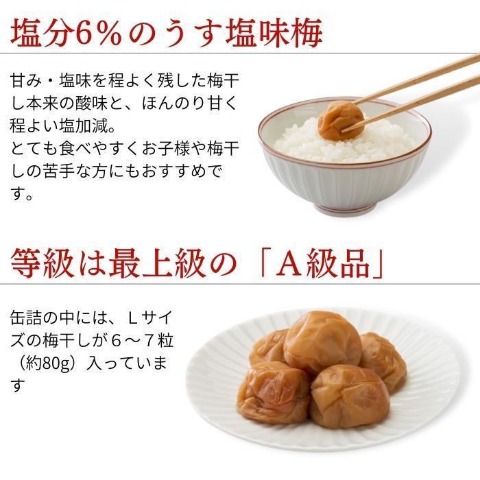 梅干し 缶詰 紀州南高梅 48缶 セット うす塩味 非常食 防災 備蓄 災害時 お茶うけ_2