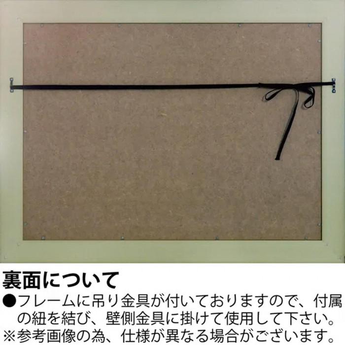 47580866_3