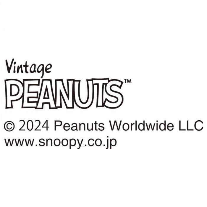 食器セット スヌーピー 19ピース ホームセット プレート マグ ボウル 