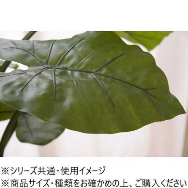 フェイクグリーン クワズイモ 117cm 人工観葉植物 インテリア雑貨の画像