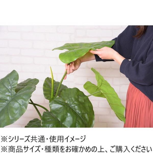 フェイクグリーン クワズイモ 117cm 人工観葉植物 インテリア雑貨の画像