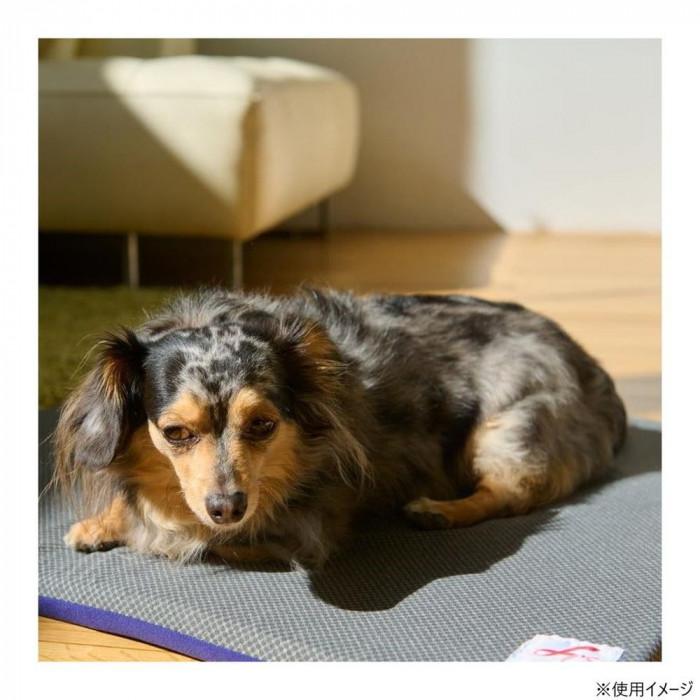 ペット用ベッド Mサイズ ブルー 遠赤外線効果 温熱 介護 犬猫兼用 日本製_2
