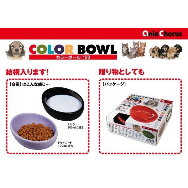 ペットボウル 猫　ペット食器　フードボウル 猫　フードボウル 犬｜pocketcompany｜04