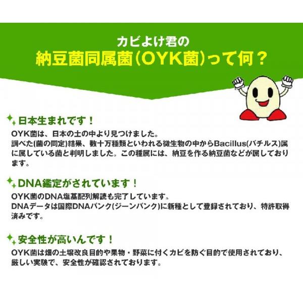 下駄箱のカビ対策 バイオ カビ防止剤 置き形 家庭用カビ防止剤 2個組 Pocket Company 通販 Yahoo ショッピング