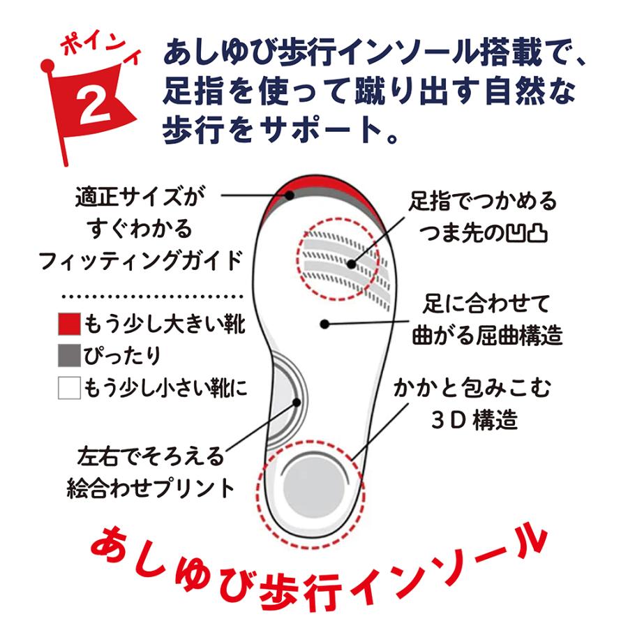 【セール10%OFF】  ミキハウス mikihouse 【ミズノコラボ】セカンドベビーシューズ (13cm-15.5cm) シューズ 靴 スニーカー ミズノ 【11-9302-143】の画像