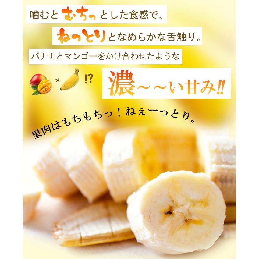 Yahoo店限定10%OFF】 沖縄県産 銀バナナ 1.5kg 無農薬 フルーツ バナナ
