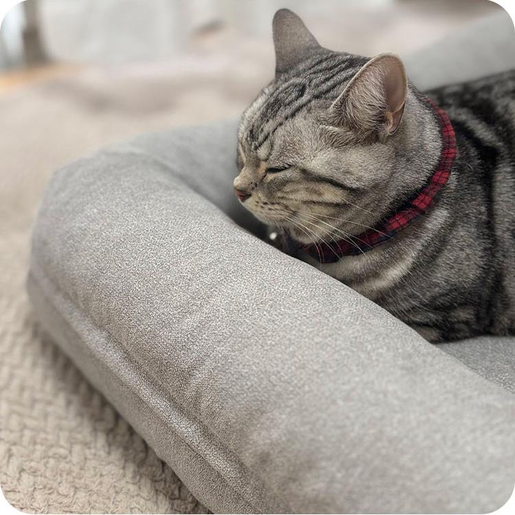 ペットベッド L字型 犬用ベッド 猫用ベッド あごのせ 洗える ふかふか